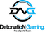 Logo for esport team