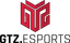 Logo for esport team