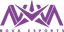Logo for esport team