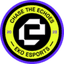 Logo for esport team
