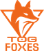 Logo for esport team