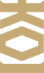Logo for esport team