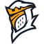 Logo for esport team