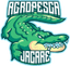 Logo for esport team