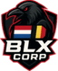 Logo for esport team
