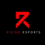 Logo for esport team