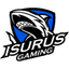 Logo for esport team