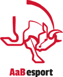 Logo for esport team