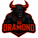 Logo for esport team